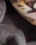 瞪着眼睛怎么组词啊