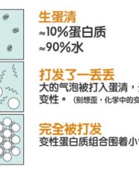 用蛋清怎么组词