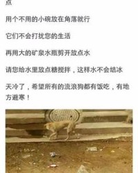 馓组词(馓组词和拼音)