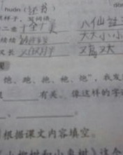 随组词有哪些