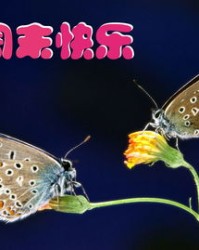 蝴蝶的蝶用怎么组词