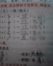 状字怎么组词