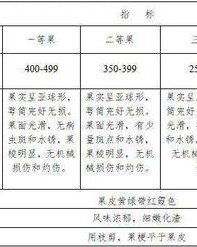 榴组词有哪些