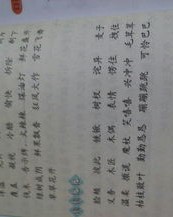 面组词造句