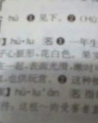 葫在前面怎么组词