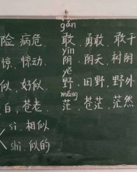 一片组词有哪些(一片组词有哪些词)