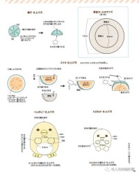 织女织怎么组词