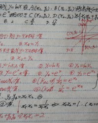 组词堀(堀组词是什么)