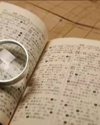 姓鲁怎么组词