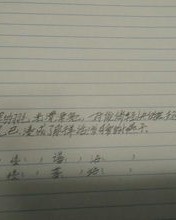 偏怎么组词