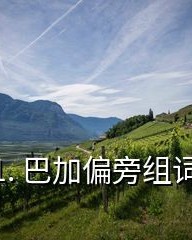 方加偏旁组词(唐加偏旁组词)