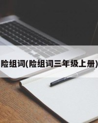 险组词(险组词三年级上册)