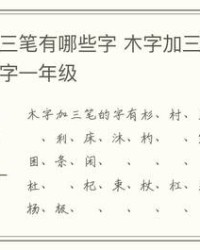 木字加偏旁组词(木字加偏旁组词一年级上册)