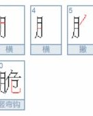 刮怎么组词瓜