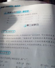 探换偏旁组词(探换偏旁并组词)