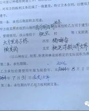 村委的委怎么组词