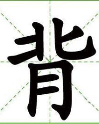 水寨的债怎么组词