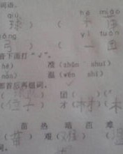 贲加偏旁组词