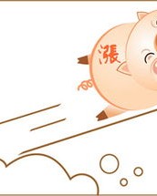 猪猪网的网怎么组词