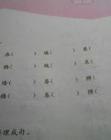 分辨的辨字可以怎么组词