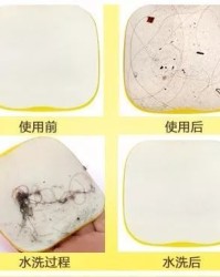 沾到了粘怎么组词