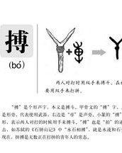 搏的组词