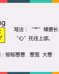 绿组词表示颜色(绿组词表示颜色的词语二字词)