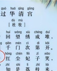 骑ji怎么组词