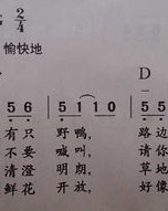 心琴的琴怎么组词