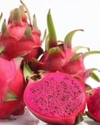 火龙果可以怎么组词