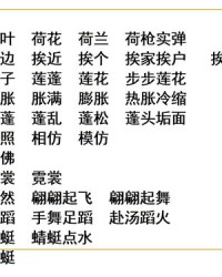 刷子李生字组词(刷子李生字组词加拼音)