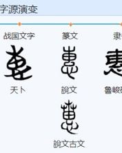 相互组词