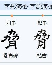 肢组词怎么读