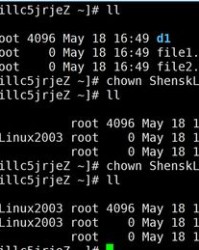 限组词(限组词四字)