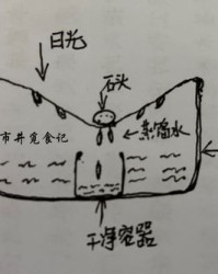 用干净的净怎么组词
