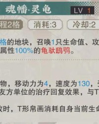 规则龟怎么组词