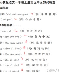 及组词(及组词二年级上册组词)