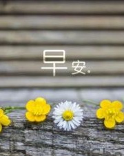 早安的炮怎么组词