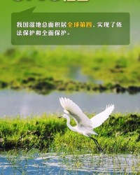 美好的美还可以怎么组词