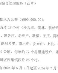 极小的集字字怎么组词