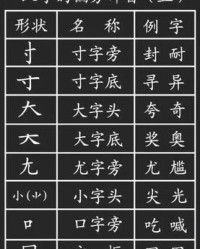 寸字加偏旁组词(寸字加偏旁组词一年级下册)