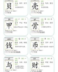 贝壳的壳字组词(贝壳的组词有哪些)