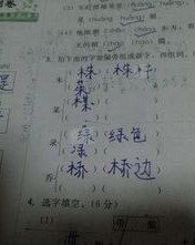 朱怎么加偏旁组词