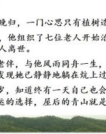 照顾的顾怎么组词