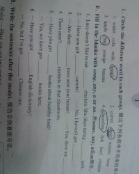 植物用英语组词怎么写