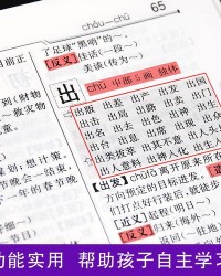 用增组词