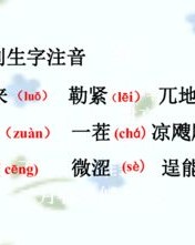 柳叶的叶怎么组词