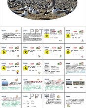袋开头怎么组词
