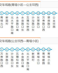 倒车的到可以怎么组词