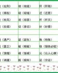 基础的宠物怎么组词呀